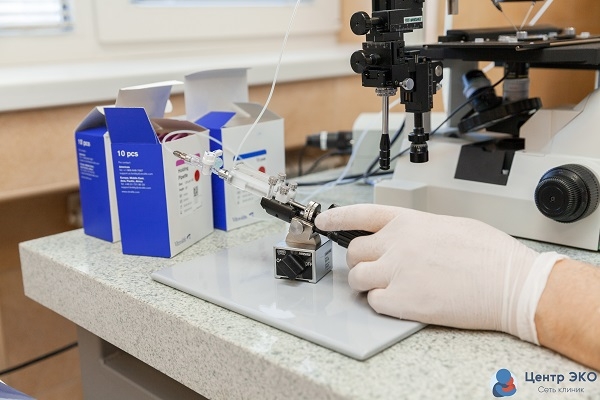 Плохая спермограма - возможные причины | Клиника «Центр ЭКО» в Калининграде